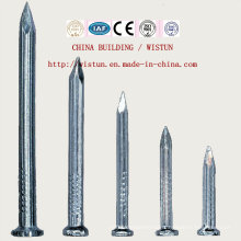 Chinese Iron Nails Coil Nails Concrete Nails Nail Gun Bullet